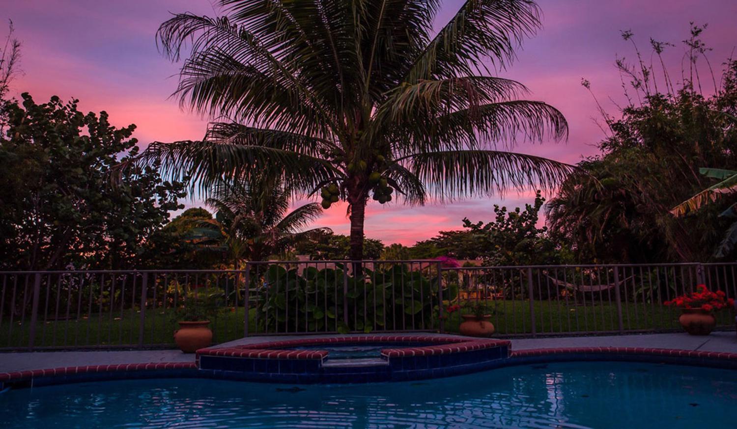 Vila Dolphin Retreat - East Boca Raton Exteriér fotografie